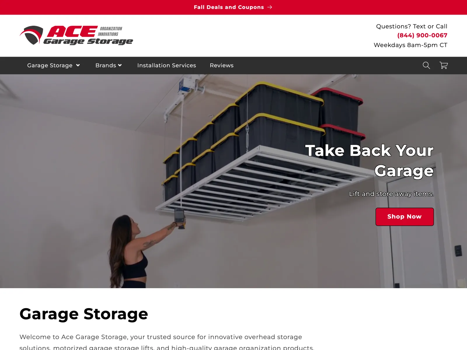 Ace Garage Storage storefront preview